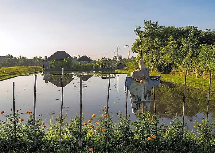 Villa Romantic Seseh With Private Pool Cemagi