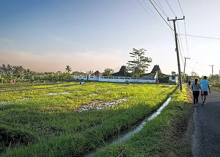 Villa Romantic Seseh With Private Pool *